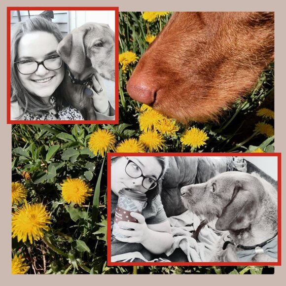 BESS-EA-EAFOLSOM09 is LIVE! Come join me! - Picture 2 of 6